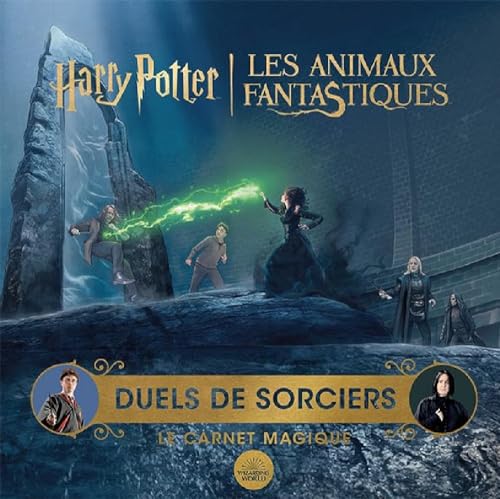 Book cover: Duels de sorciers